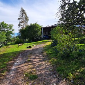 Rancho en venta, entre Guanajuato Capital y Dolores Hidalgo, Gto.